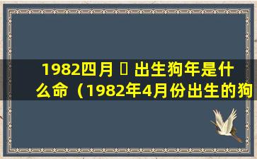 1982四月 ☘ 出生狗年是什么命（1982年4月份出生的狗财运怎么样）